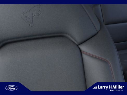 New 2025 Ford Bronco Stroppe Edition image 18