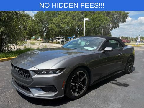 Used 2024 Ford Mustang Premium RWD image 4
