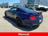 Used 2019 Ford Mustang Premium w/ Ecoboost Performance Package image 5