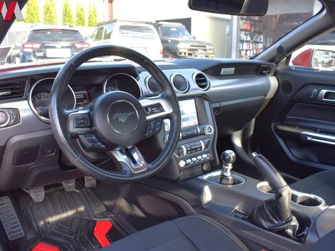 Used 2019 Ford Mustang Coupe w/ Equipment Group 101A image 3