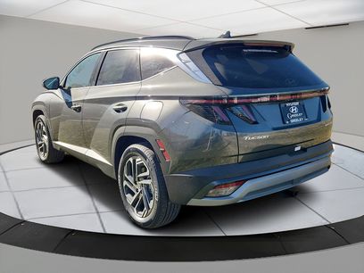 New 2026 Hyundai Tucson Limited w/ Tow & Go Package