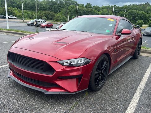 Used 2019 Ford Mustang GT w/ Equipment Group 301A RWD image 1