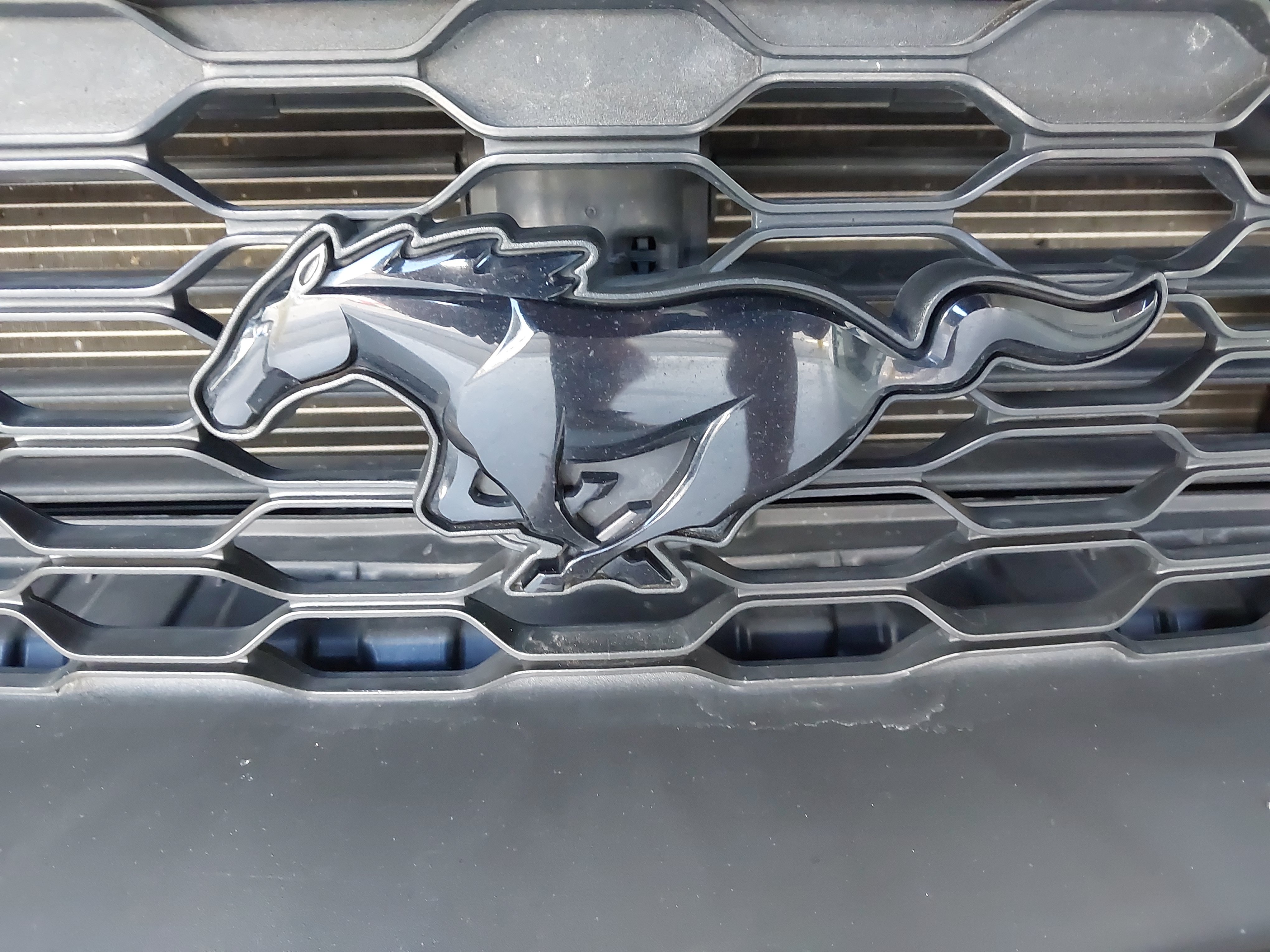 Used 2019 Ford Mustang Premium w/ Black Accent Package RWD image 31