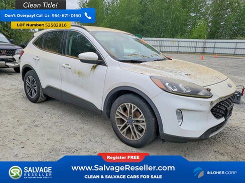 Used 2020 Ford Escape SEL FWD image 5
