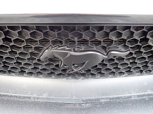 Used 2015 Ford Mustang GT Premium image 11