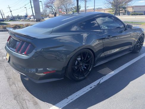 Used 2015 Ford Mustang Premium w/ Equipment Group 201A RWD image 3