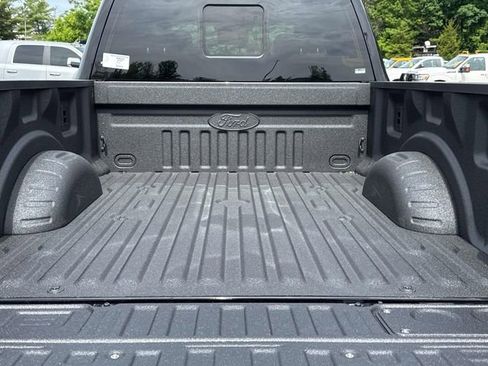 New 2025 Ford F250 Platinum image 10