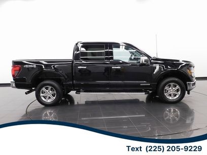 Certified 2024 Ford F150 XLT w/ Equipment Group 302A MID