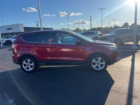 Used 2014 Ford Escape SE image 5