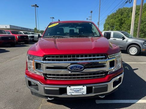Used 2020 Ford F150 XLT w/ Equipment Group 302A Luxury AWD/4WD image 2
