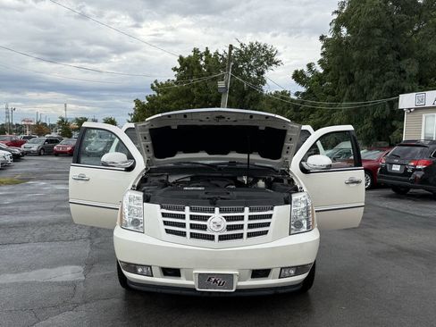 Used 2010 Cadillac Escalade Luxury image 22