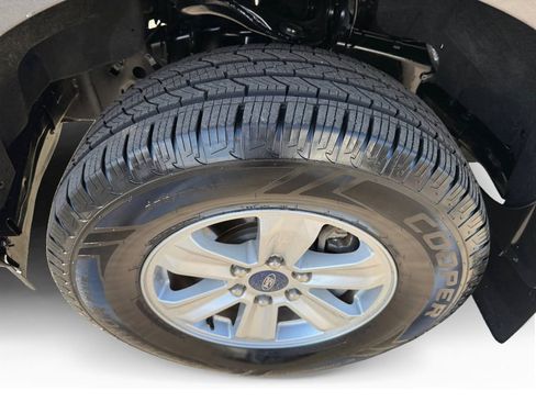 Used 2019 Ford F150 XLT w/ Equipment Group 301A Mid image 9