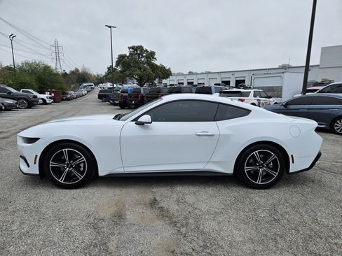 Certified 2025 Ford Mustang EcoBoost image 7