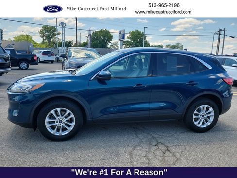 Used 2020 Ford Escape SE AWD/4WD image 2