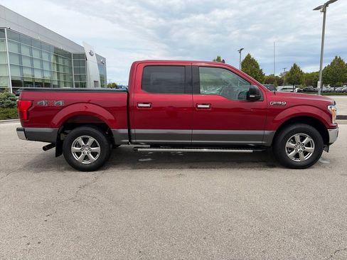 Used 2019 Ford F150 XLT w/ Equipment Group 302A Luxury AWD/4WD image 8