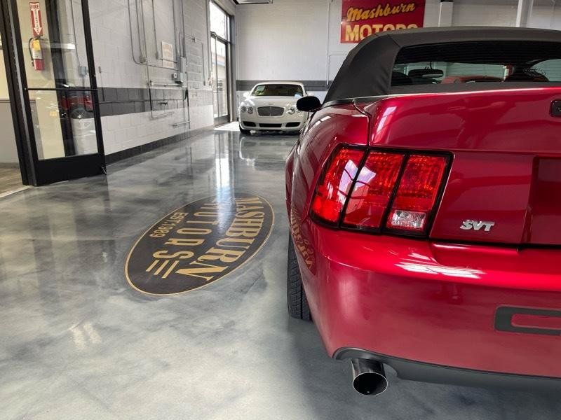 Used 2003 Ford Mustang Cobra RWD image 14