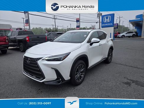 Used 2024 Lexus NX 350 AWD w/ Cold Area Package image 1