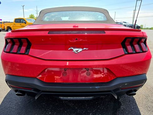 Used 2024 Ford Mustang Premium RWD image 5