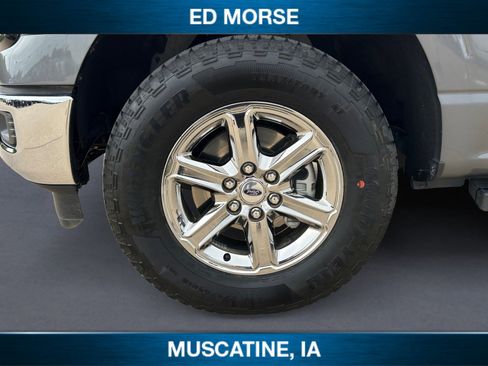 Used 2025 Ford F150 XLT w/ Equipment Group 301A Standard AWD/4WD image 14