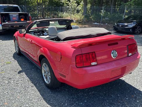 Used 2005 Ford Mustang Convertible RWD image 4