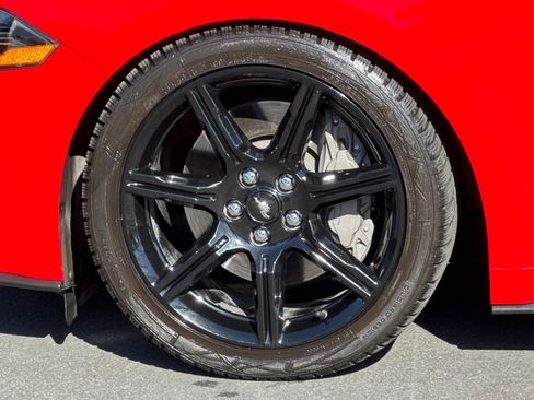 Used 2019 Ford Mustang GT Premium w/ Equipment Group 401A RWD image 25