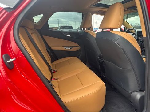 Used 2025 Lexus NX 250 250 Premium w/ Cold Area Package image 13