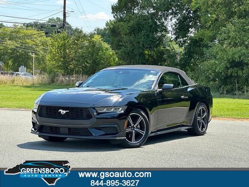 Used 2024 Ford Mustang Premium RWD image 1