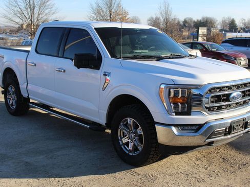 Used 2023 Ford F150 XLT w/ Equipment Group 302A High image 8