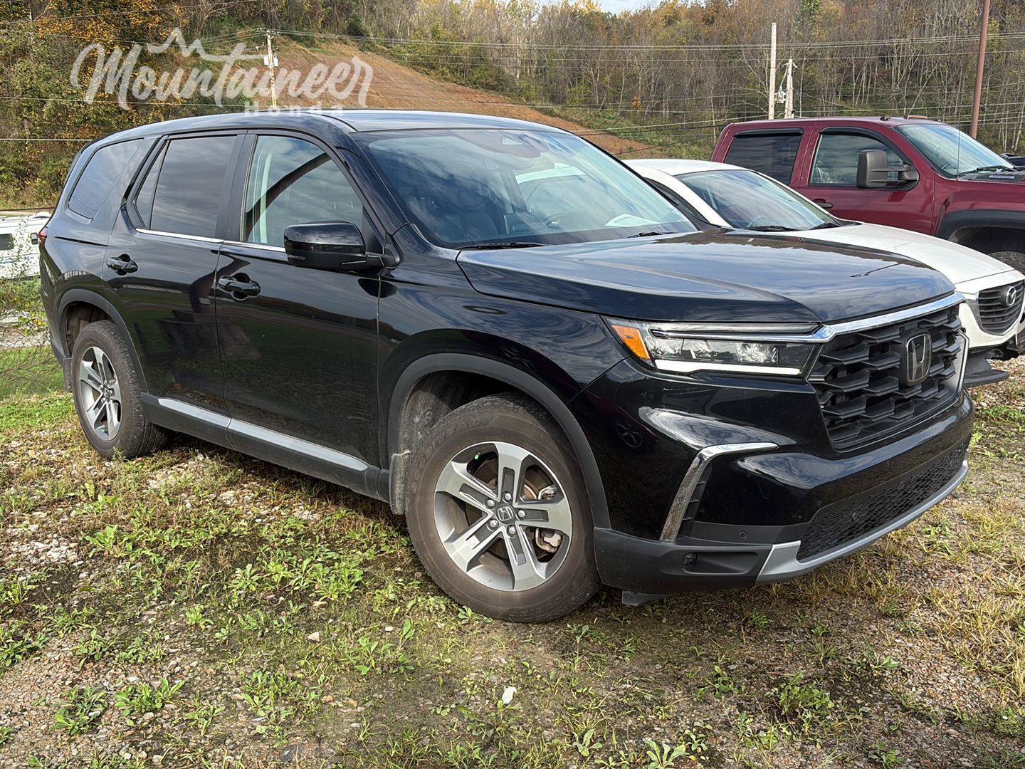 Used 2025 Honda Pilot EX-L image 2