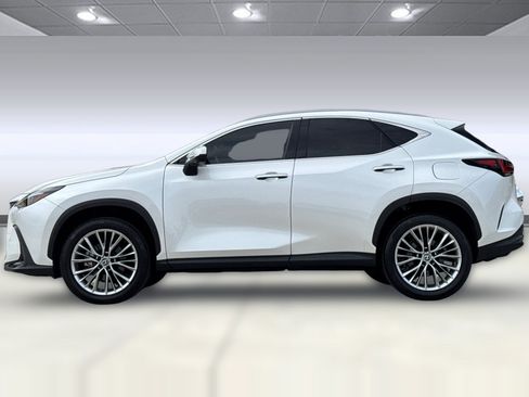 Certified 2024 Lexus NX 350 AWD w/ Vision Package image 2