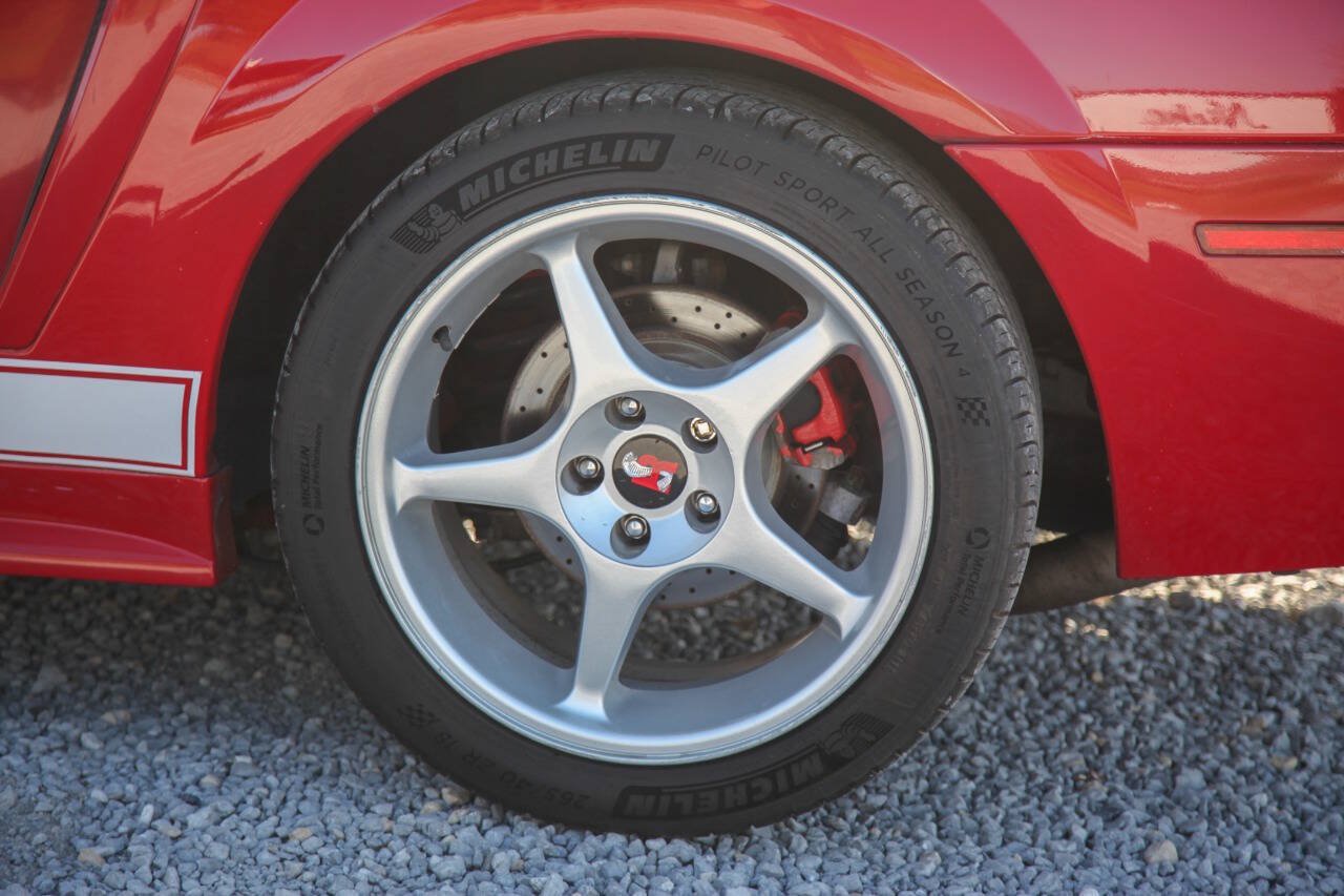 Used 1999 Ford Mustang Cobra RWD image 11