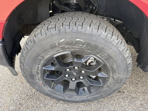 New 2025 Ford F150 STX w/ Equipment Group 201A FX4 image 12