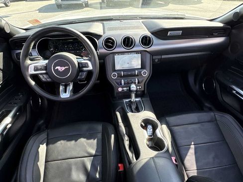 Used 2019 Ford Mustang Premium w/ Equipment Group 201A RWD image 20