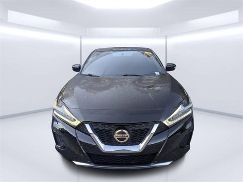 Used 2019 Nissan Maxima 3.5 SL w/ Floor Mat Group image 8