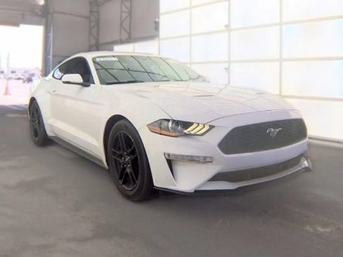Used 2019 Ford Mustang Premium RWD image 1
