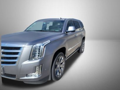 Used 2019 Cadillac Escalade Premium Luxury