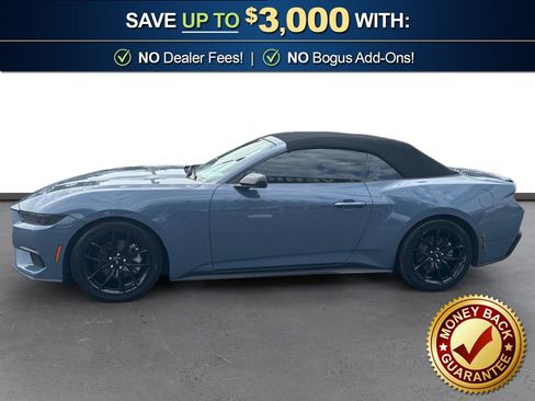 Used 2024 Ford Mustang Premium w/ Mustang Nite Pony Package RWD image 2