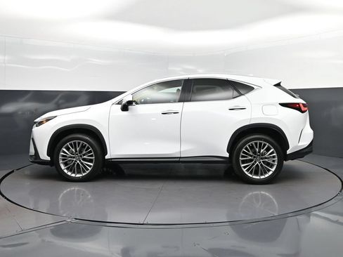 New 2026 Lexus NX 350 AWD w/ Luxury Package image 4