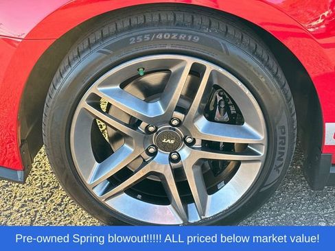 Used 2010 Ford Mustang Shelby GT500 RWD image 13