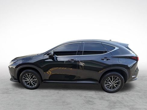 Used 2024 Lexus NX 350 AWD w/ Cold Area Package image 5