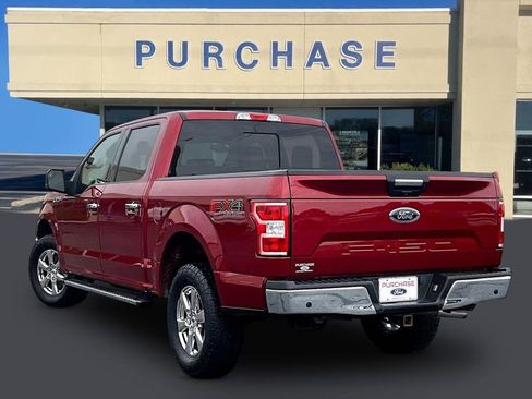 Used 2019 Ford F150 XLT w/ Equipment Group 302A Luxury AWD/4WD image 4