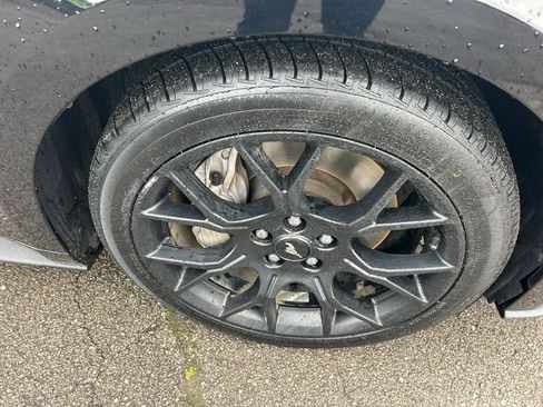 Used 2019 Ford Mustang Coupe w/ Ecoboost Performance Package image 12