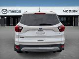 Used 2019 Ford Escape Titanium image 4