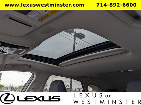 Certified 2025 Lexus NX 350h AWD w/ Premium Package image 18