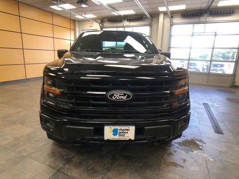 New 2025 Ford F150 XLT w/ Equipment Group 301A Standard image 2