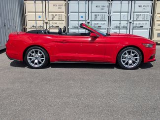 Used 2015 Ford Mustang Premium w/ 50 Years Appearance Package RWD video 3