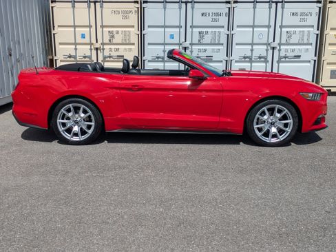 Used 2015 Ford Mustang Premium w/ 50 Years Appearance Package RWD image 3