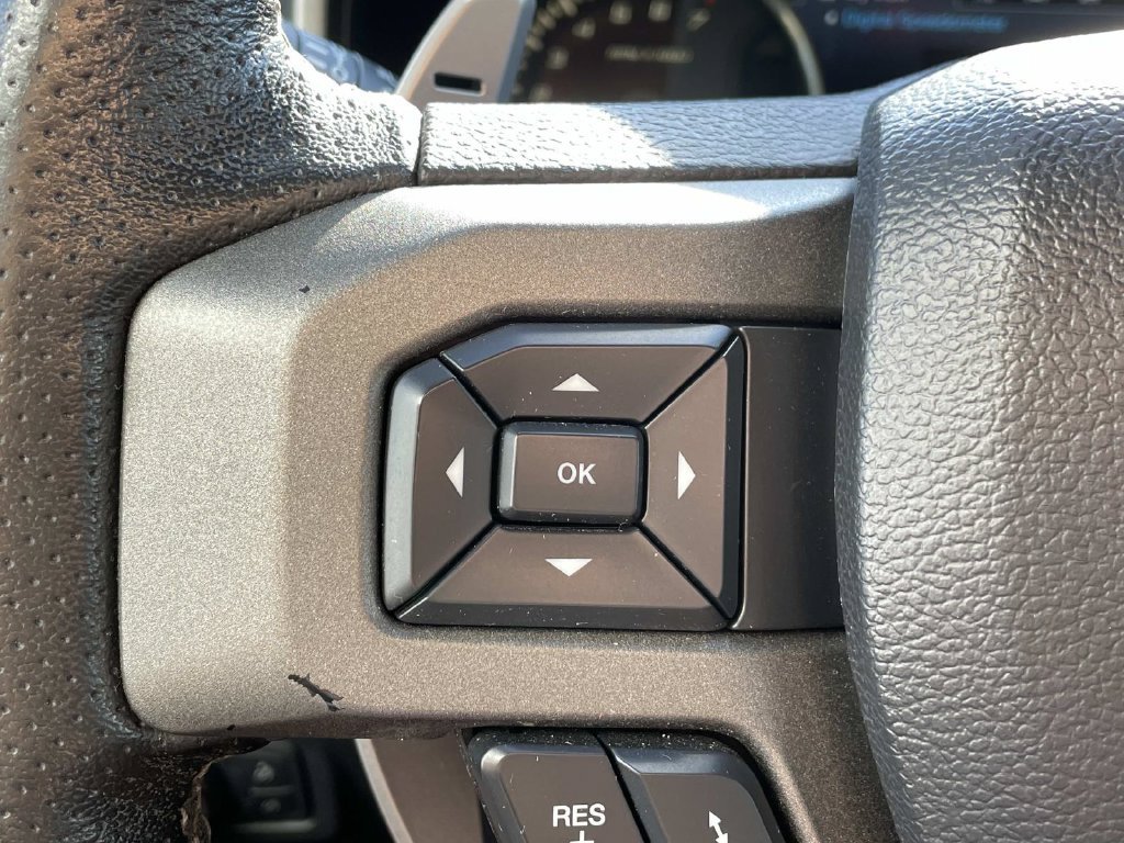 Used 2019 Ford F150 Raptor w/ Equipment Group 802A Luxury AWD/4WD image 23