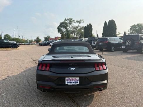 Used 2024 Ford Mustang Premium RWD image 4