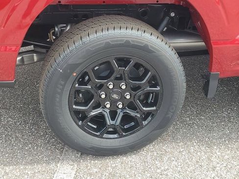 New 2025 Ford F150 XLT w/ Equipment Group 301A Standard image 5